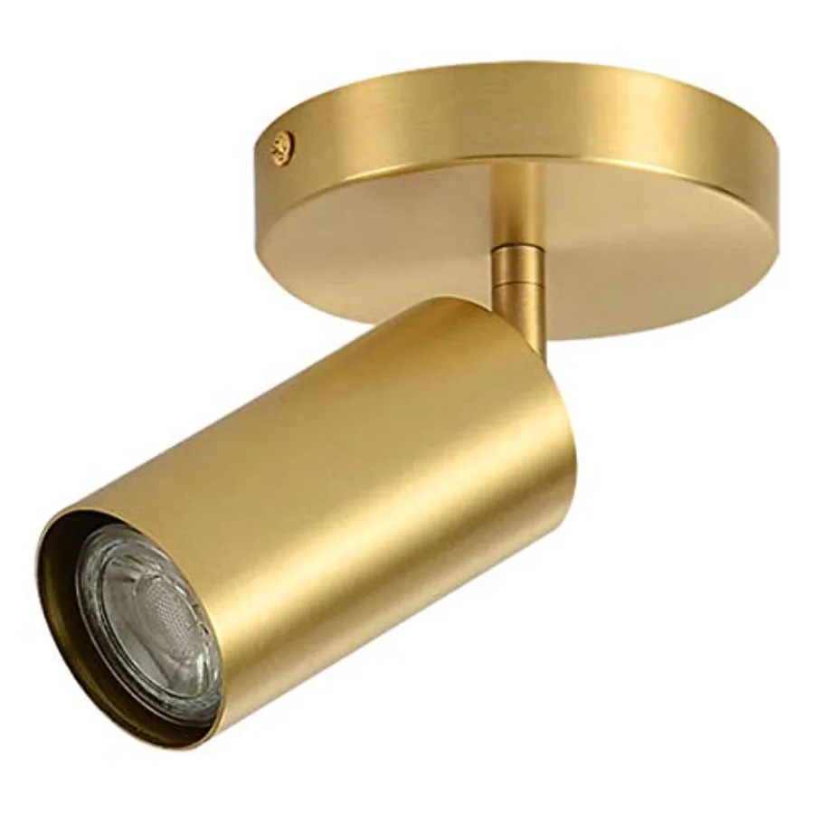 Lighting Modern LED Tacking Lighting Brushed Flush Mount Ceiling Spotlight Fixtures Single Brass Kitchen Track Lighting Indoor