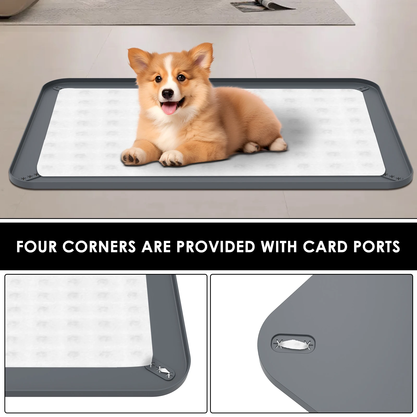 Thumbnail 3 - #14 Latest Puppy Training Offers