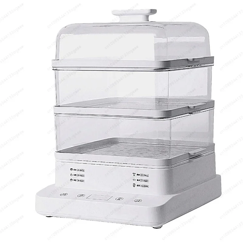 Electric steamer voltage electric steamer electric steamer