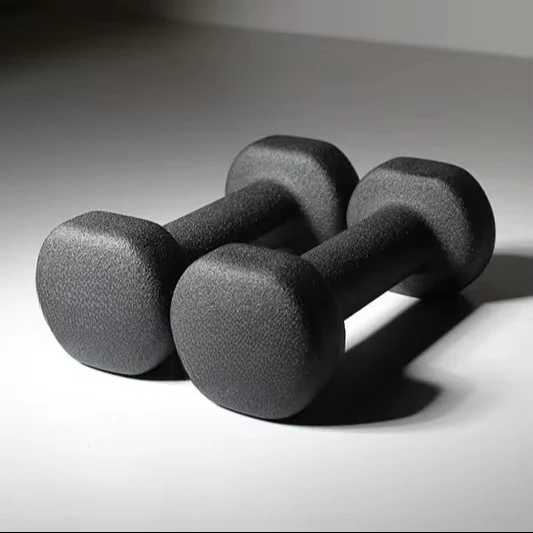 Customized Portable Iron Dumbbell Set for Home Gym for Fitness Training & Dip Workout Direct Body Building Supply