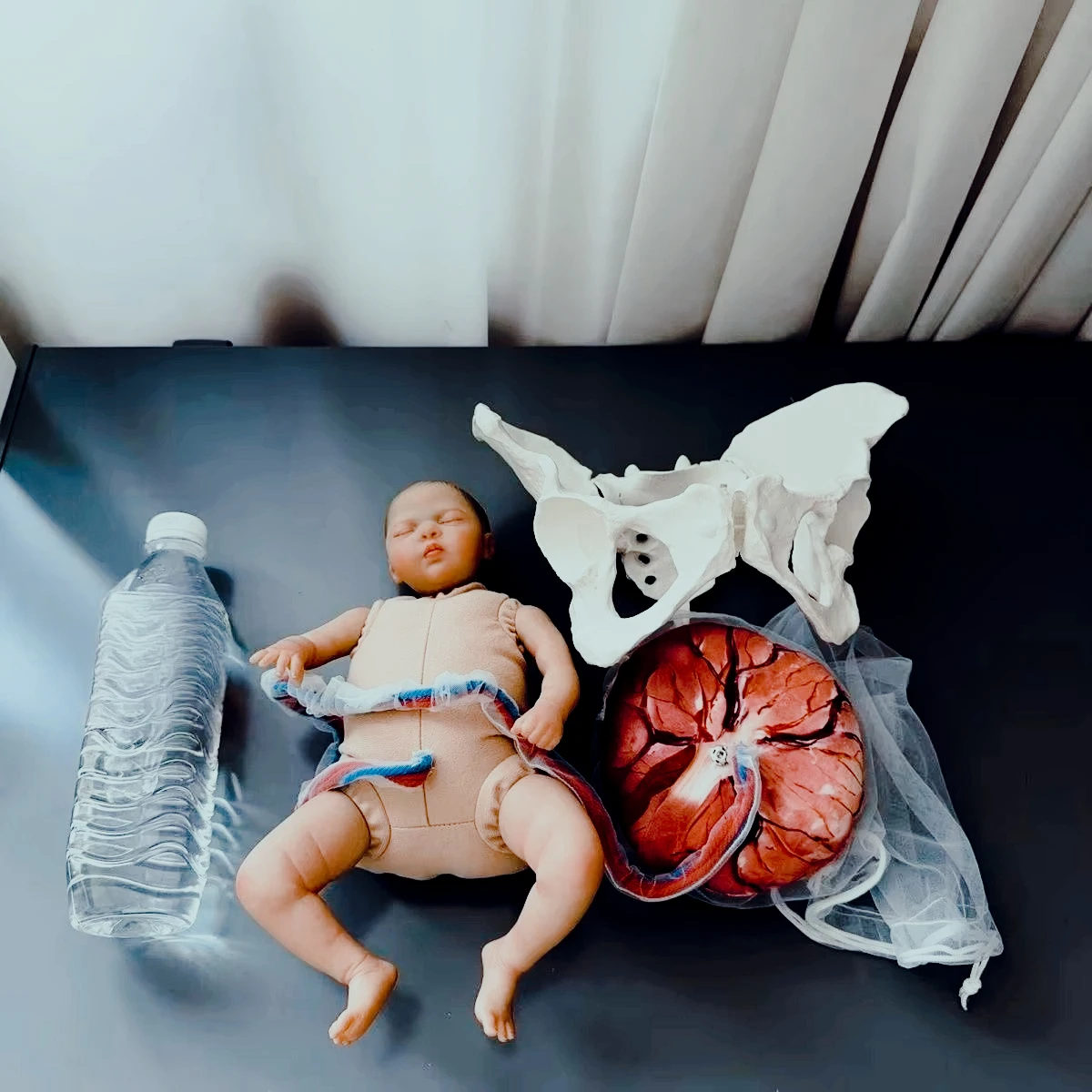 Obstetric Delivery Teaching Model, Pelvis Fetus Placenta Umbilical Cord Membrane Model for Midwifery Training Education