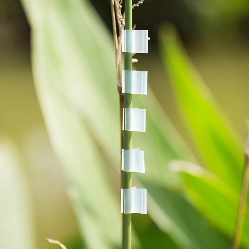 100PCS Plastic Seeding Grafting Clip Tomato Clip Gardening Accessories Plant Support Clips Grafting Tools Plant Stand
