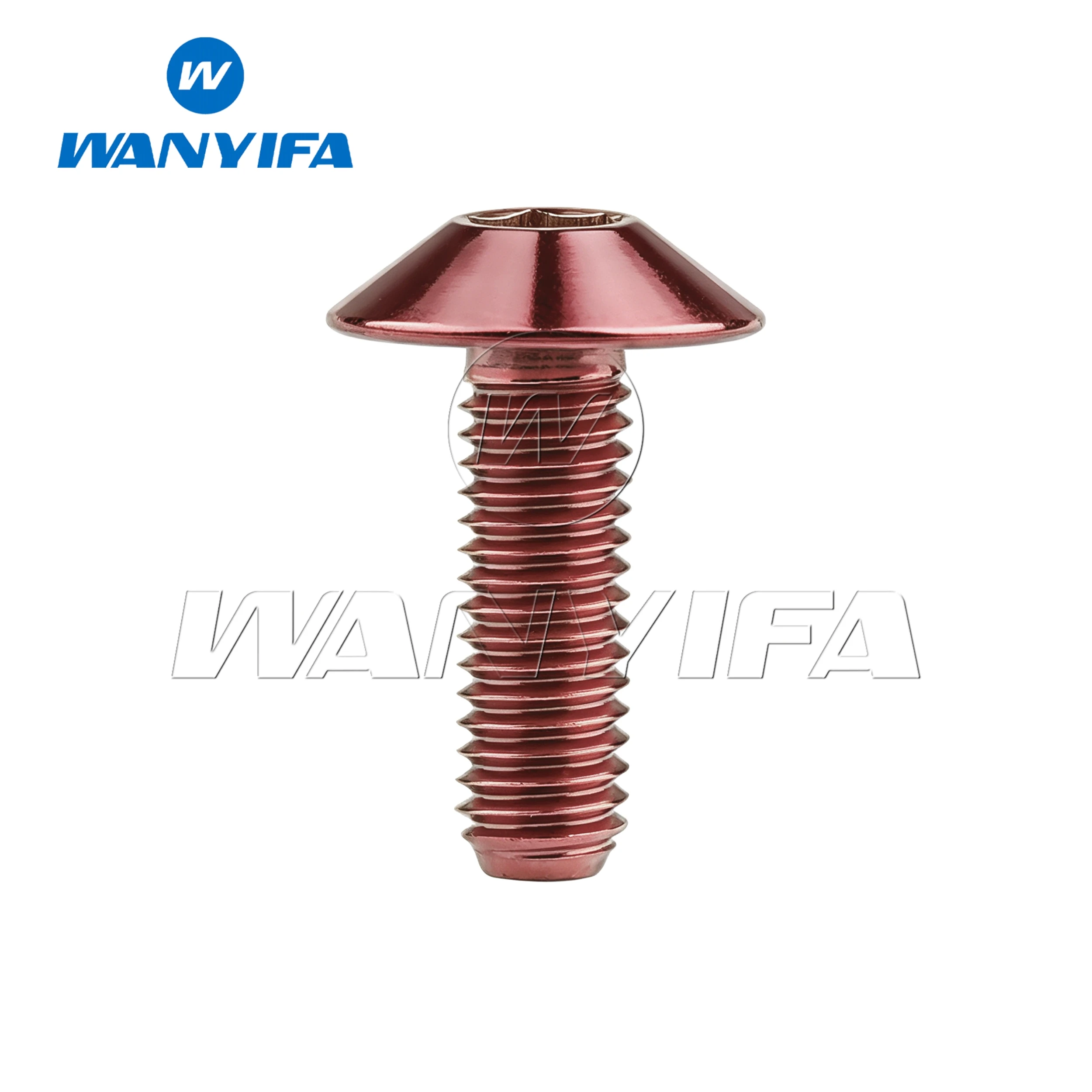 Wanyifa Titanium Bolts Allen Hex Head M6 x 12 15 20 25 30 35mm Motorcycle Screws 5pcs/lot