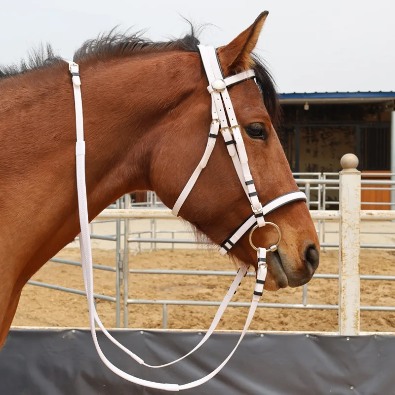Western Saddle Style Horse Riding Equipment Endurance Racing Bridle Halter with Nylon and PVC Rein Attached