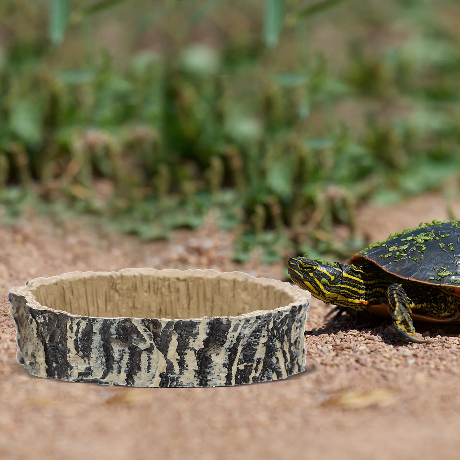

Lifelike Reptile Food Feeder Natural Pet Cage Decor For Lizards Snakes Turtles Tortoise Habitat Accessories Water Bowl Terrarium