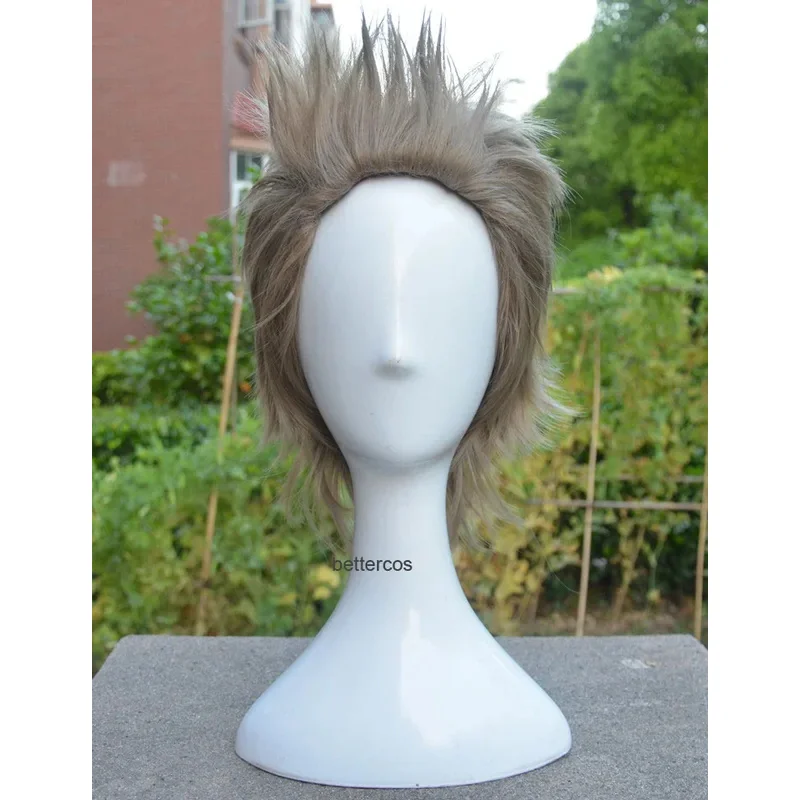 

FF15 XV Final Fantasy Ignis Stupeo Scientia Cosplay Wigs Short Heat Resistant Synthetic Hair Wig + Wig Cap