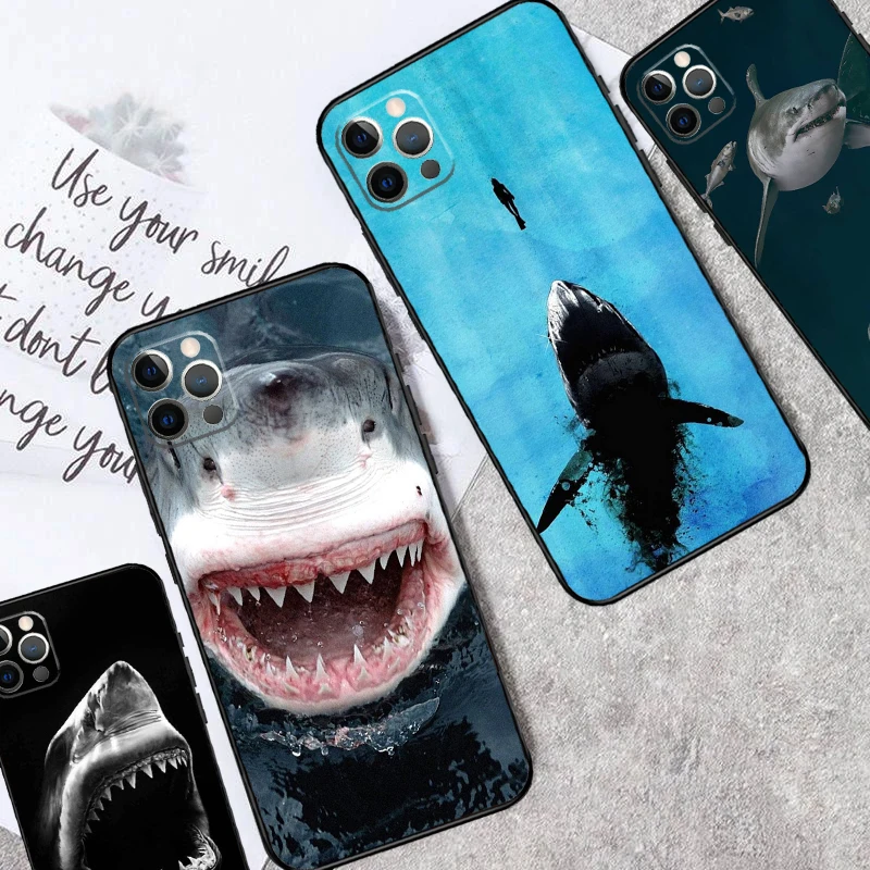 Shark Ocean Fish Ca… - image