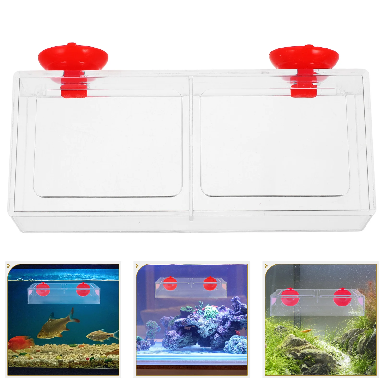 

Fish Feeder for Aquarium Tank Feeding Ring Large Capacity Antiscatter Design High Transparency Acrylic Food Holder for Goldfish