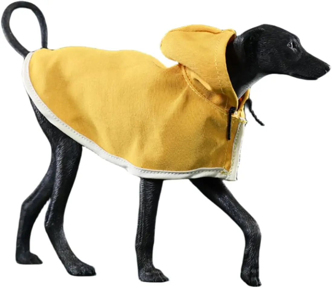 

HiPlay JXK Azawakh Dog Expertly Hand-Painted 1:6 Animal Figurine