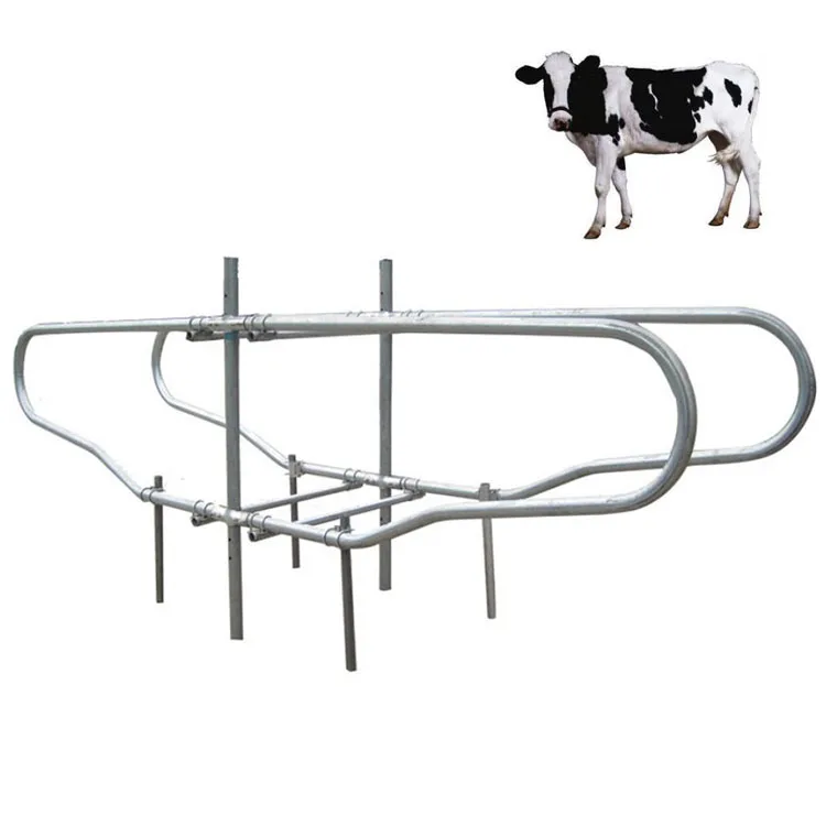 Portable Cow Cubicles Hot Dip Galvanized Cattle Livestock Divided Panels Durable Cow Free Stall For Dairy Farm