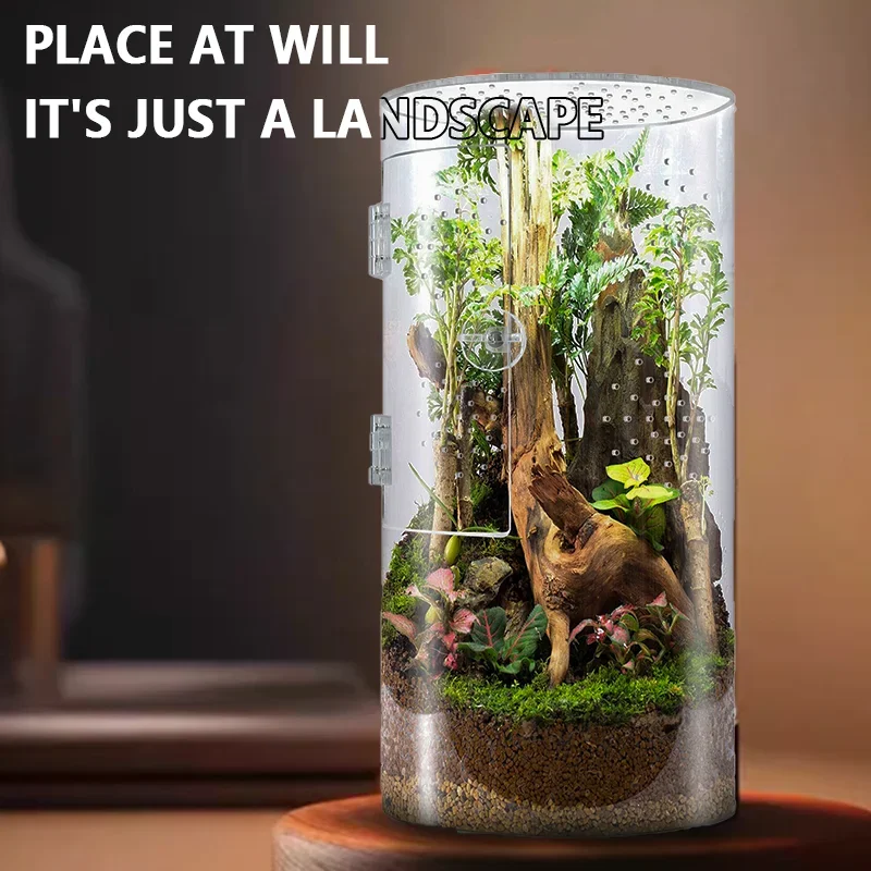 

Reptile Incubation Container Lizard Kennel Amphibians Breathable Breeding Box Terrarium Insect Turtle Spider Feeding Box