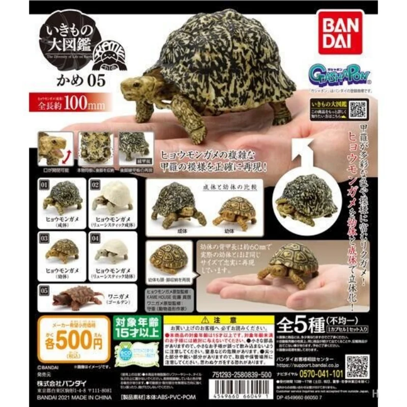 

Bandai Original 5Pcs Gashapon The Diversity of Life on Earth かめ05 Toys For Kids Gift Collectible Model Ornaments