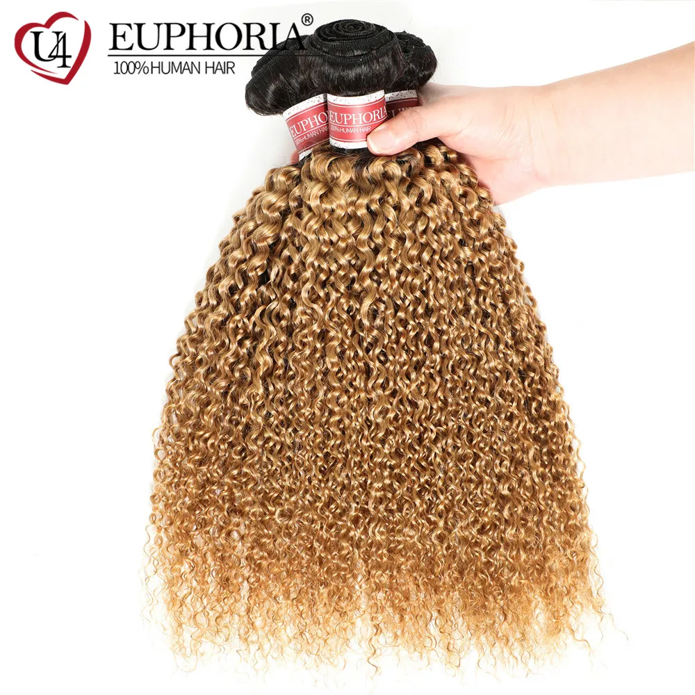 Ombre Blonde 27 Customized Kinky Curly Hair Bundles Brazilian Human Hair 1/3 Pcs 1B Brown Remy Curly Hair Weaving Bundles EUPHOR