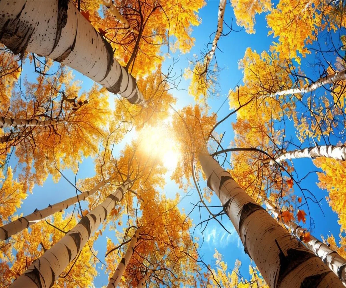 Customized Size Mural Blue Sky Birch Forest Wallpaper Home Decoration Yellow Birch Leaves Cedar Forest Mural woods 3d wallpaper
