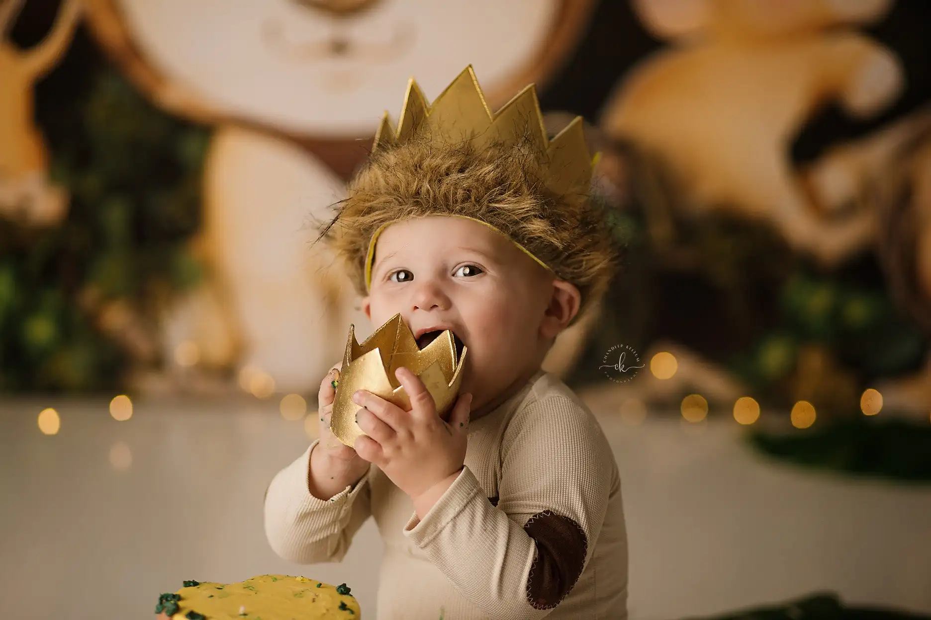 King of the Jungle Backdrops Kids Baby Birthday Cake Smash Photography Props Child Photocall Lion Forest Theme Backgrounds