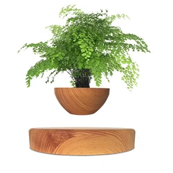 Vendita calda levitante aria Bonsai vaso rotazione fioriere levitazione magnetica sospensione fiore vaso galleggiante pianta in vaso scrivania Decor