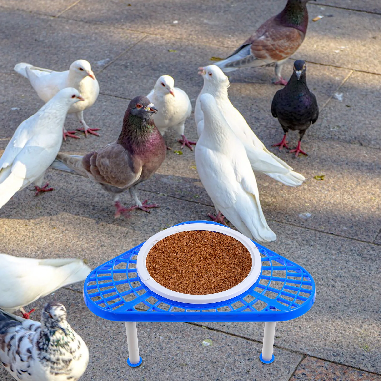 

1 set 1 Set Pigeon Nest Support Rack Triangle Plastic Nest Basin Frame For Bird Breeding Hatching Storage Bracket Pet Supply