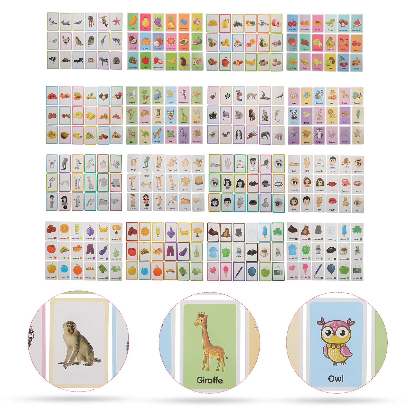 Cartes d'éducation précoce, 4 boîtes, Flashcards préscolaires, jouet d'apprentissage cognitif, jouets portables en papier, enseignement pour tout-petits