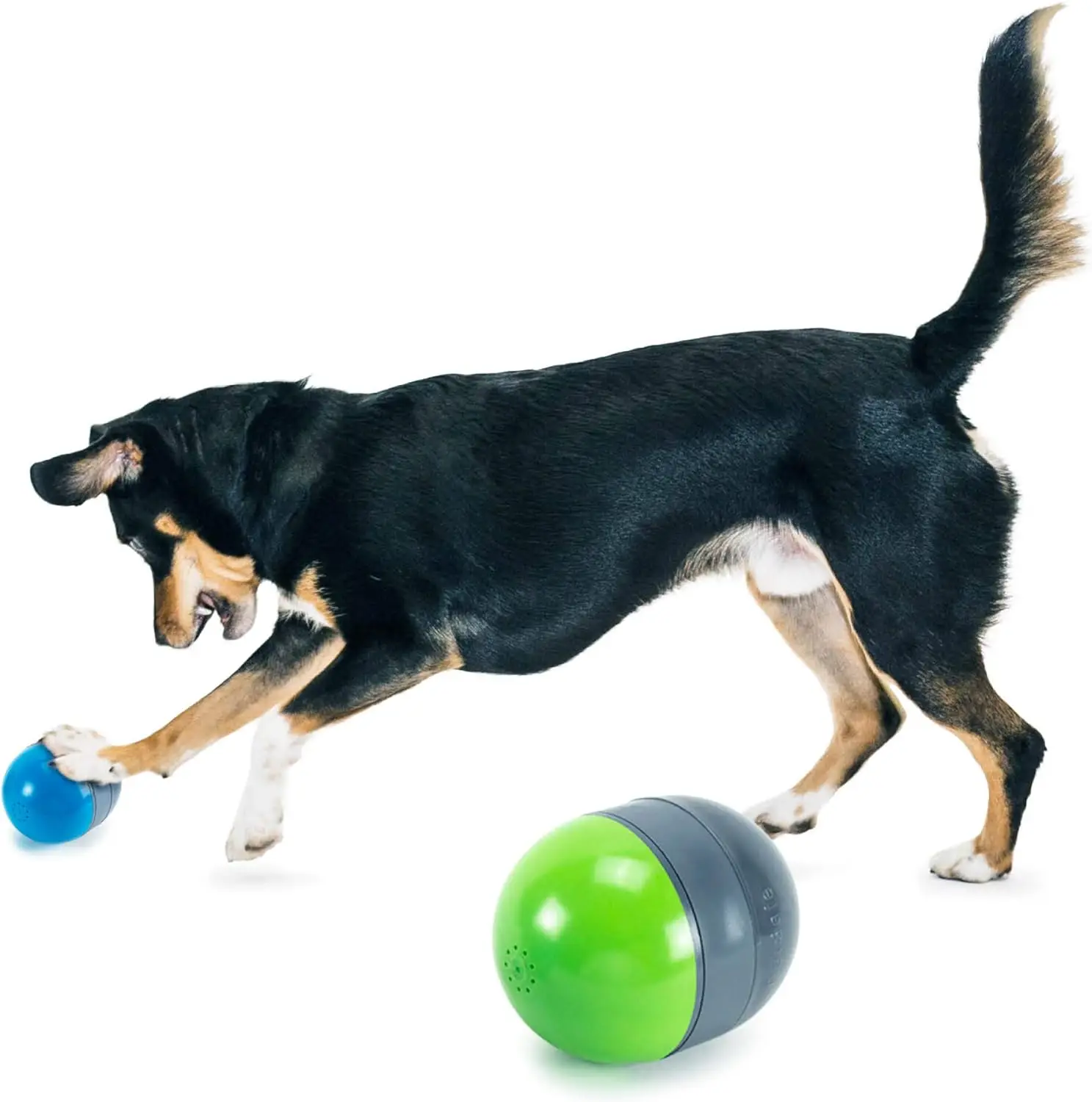 PetSafe Ricochet,Electronic Squeaking Dog Toy,2 Paired Toys Squeak to Keep Dogs Busy ,Engaging Puzzle for Bored