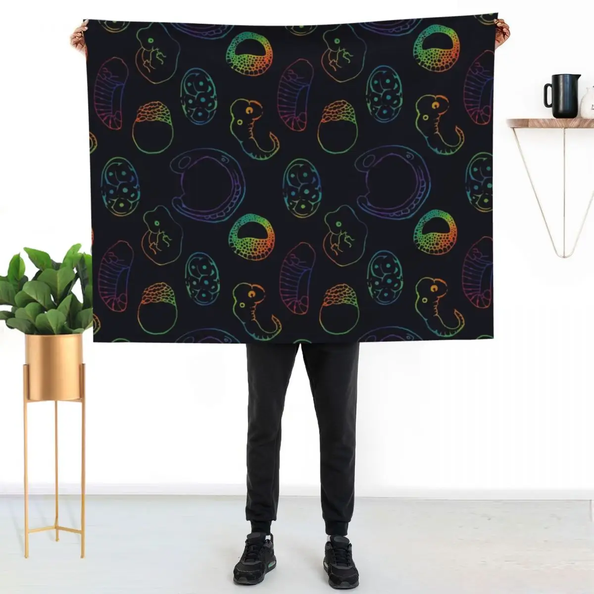 Developmental biology Throw Blanket Soft Plaid christmas gifts manga Plaid on the sofa Soft Plush Plaid Warm Blankets