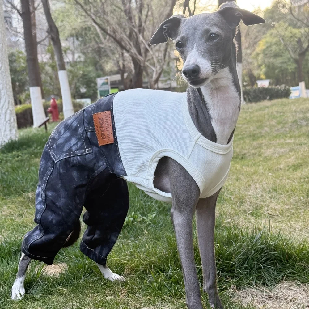 

Fashion One-piece Denim Clothing for Italian Greyhound Spirng High-stretch Dog Clothes with Pants in Summer for Terrier Whipbit