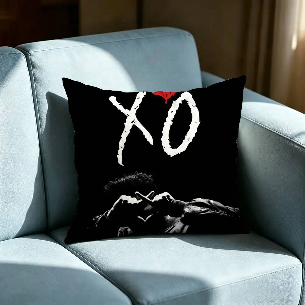 Teddy Swims American Singe Pillow cover gift High definition digital printing,Surprise  vivid pattern Household.