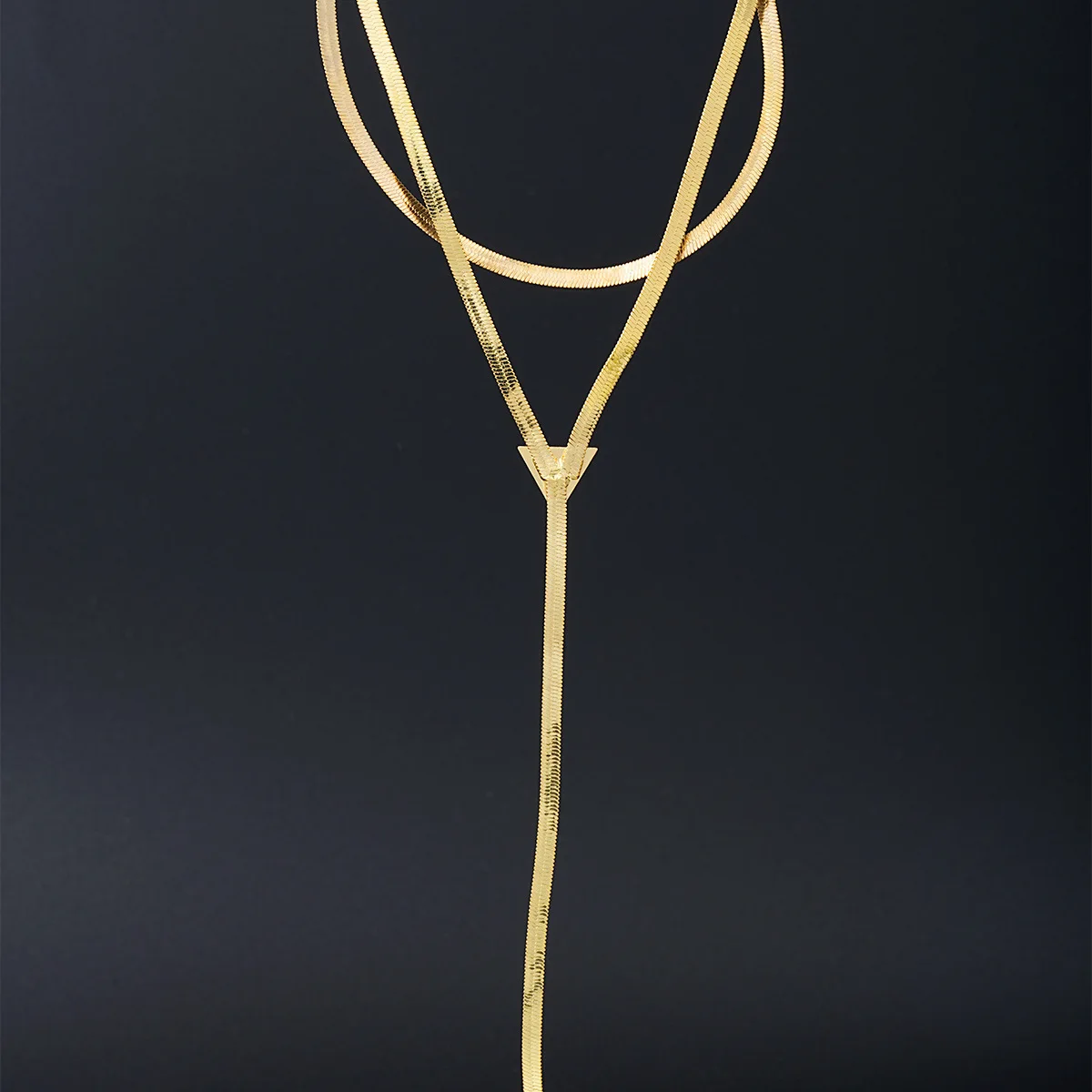 

Hip Hop Trend Gold Snake Bone Chain Female Tassel Necklace Niche Temperament Personalized Clavicle Chain