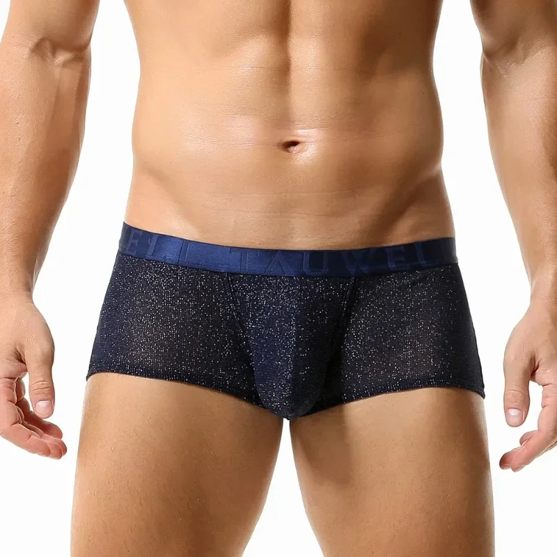 Shiny Mesh Boxer Briefs Men Sexy See Through Reflective Underwear Bulge Pouch Underpants Night Club Gay Man Attractive Panties