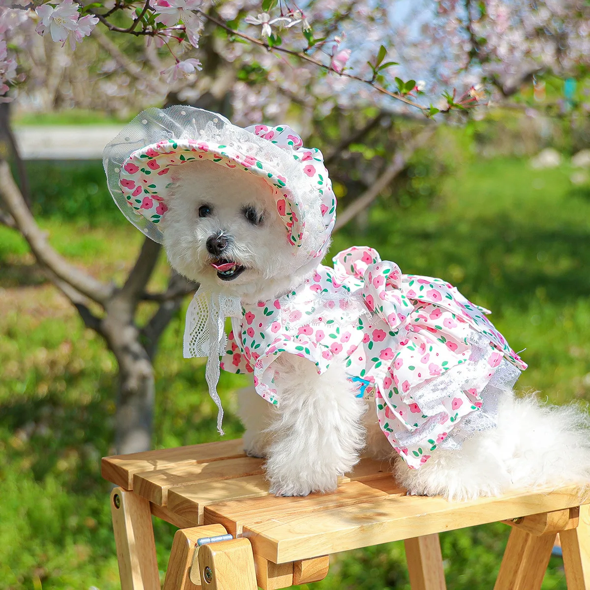 

2026 New Design Small Dog Dress & Sun Hat Set, Cute Sakura Print Pet Outfit for Chihuahua Bichon Maltese, Elegant Princess Puppy