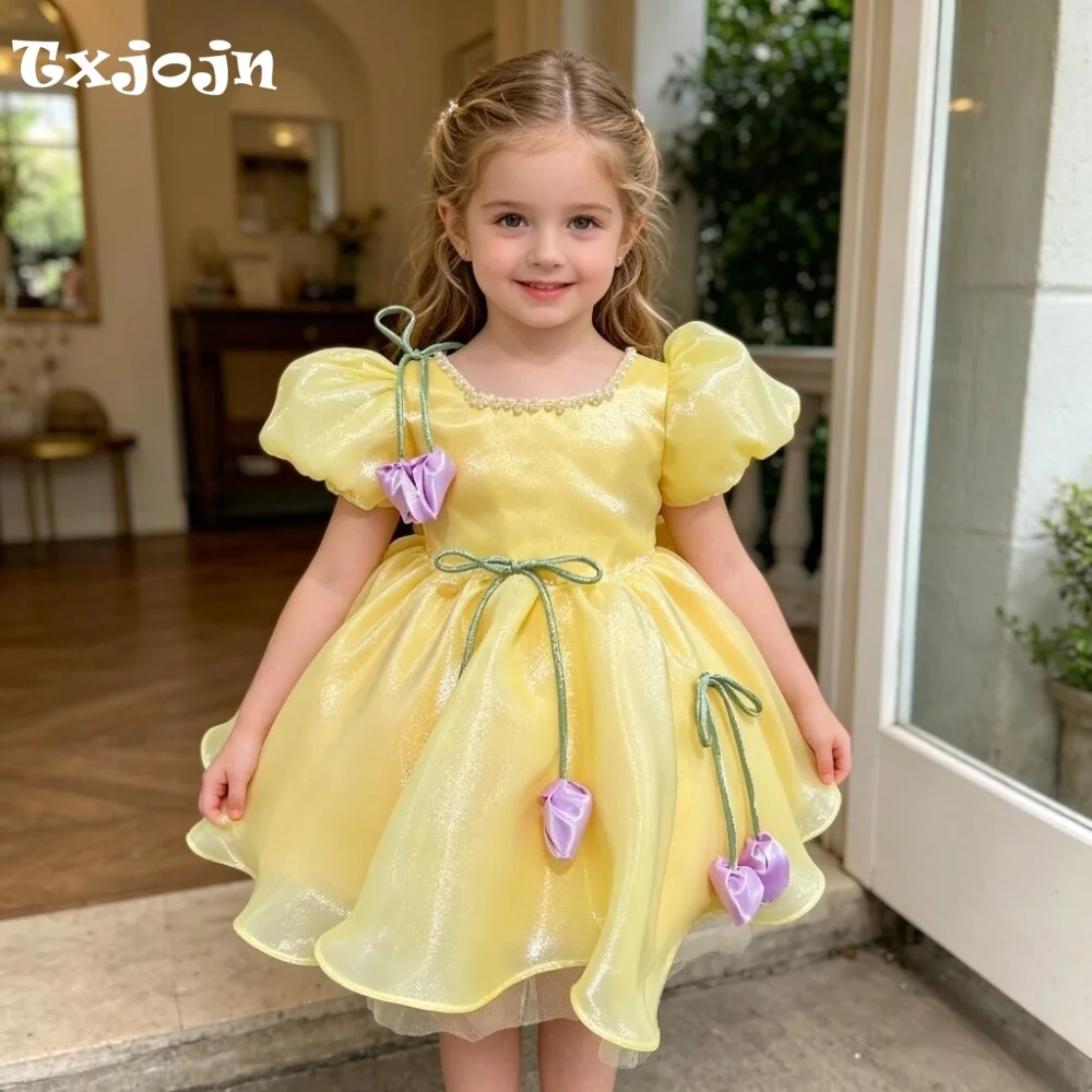 Girl's Dress 1-14 Years Old Girl's Bow Puff Sleeve Princess Dress Ruffled Mesh Dress Wedding Dress Flower Girl Baby Girl Dress
