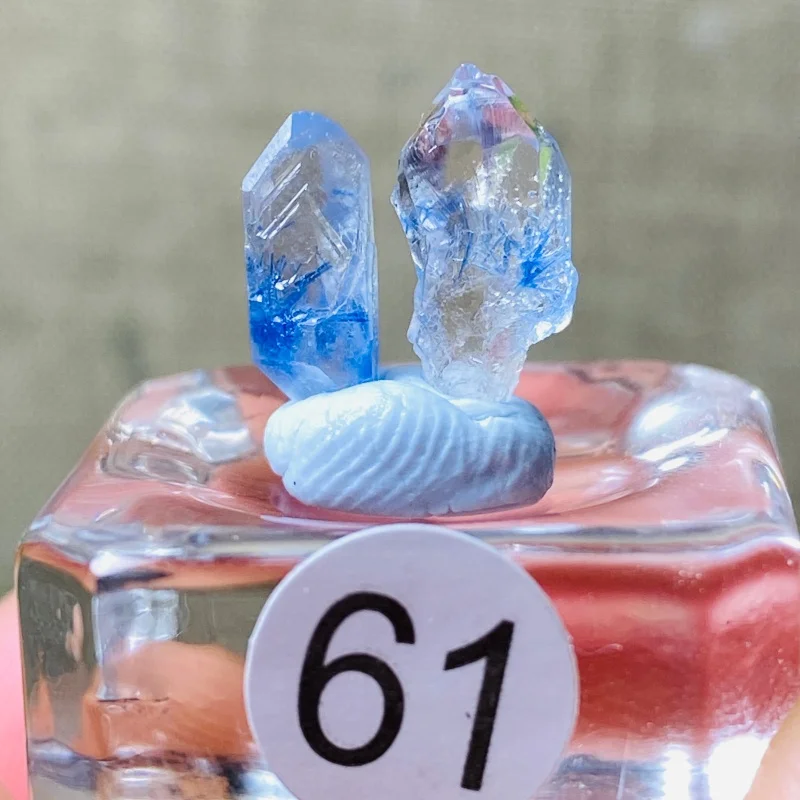 Natural Brazil Dumortierite Blue Rabbit  Mineral Specimen Raw Energy Crystal Healing Stone Meditation Irregularity Small Size