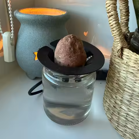 Hydroponic Grow Kit Lightweight Plastic Hydroponic Stand For 30Mm-40Mm Avocado Seeds Kitchen Soilless Cultivation Easy Rooting