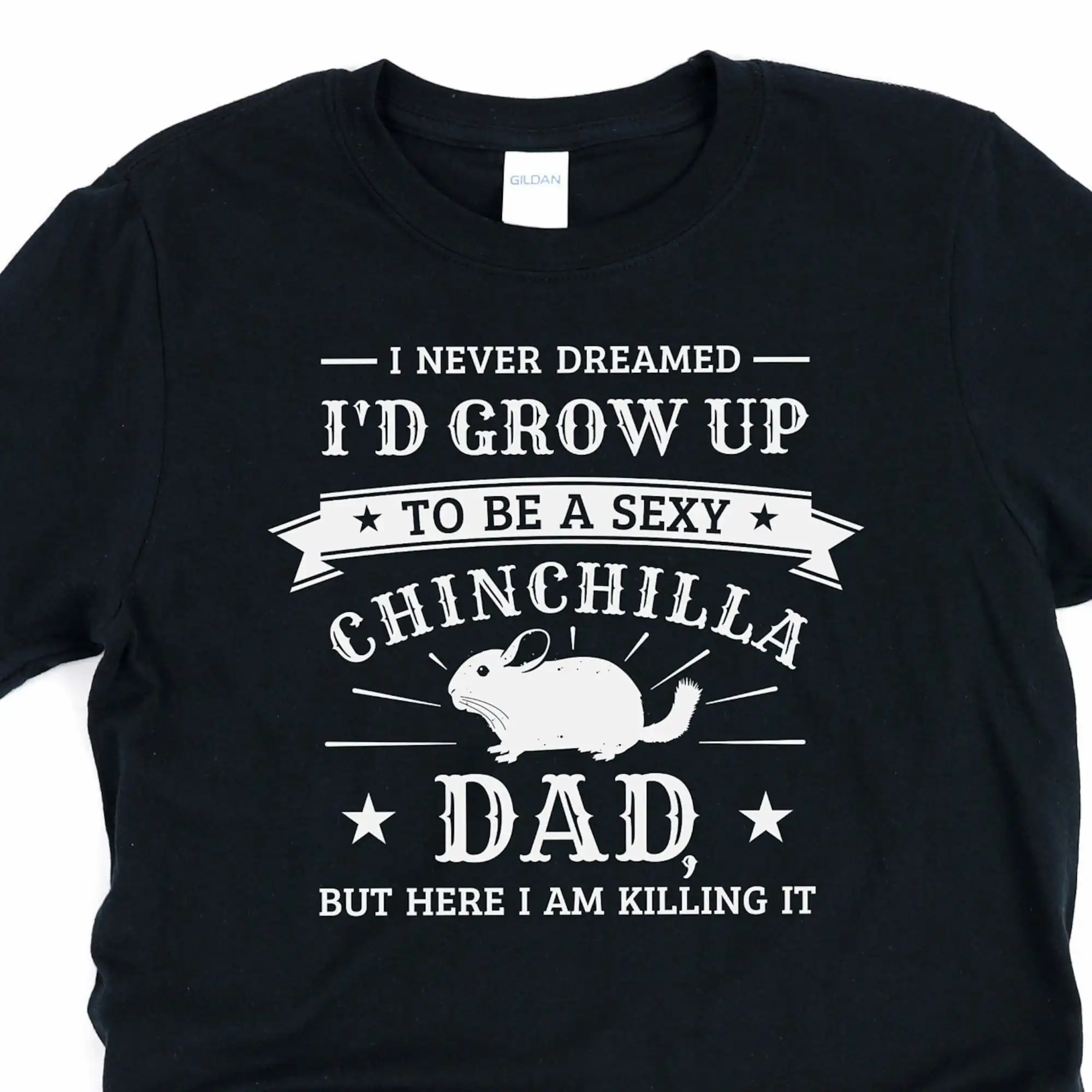 Chinchilla dad, chinchilla shirt, rodent shirt