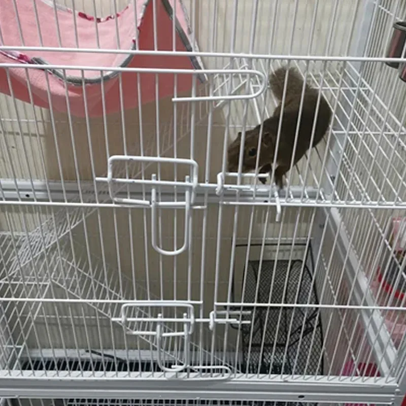 With wheel Large squirrel Honey Bag Glider Flying Kangaroo Three-floor villa Longcat Mink Pet bird parrot cage Square tube cage