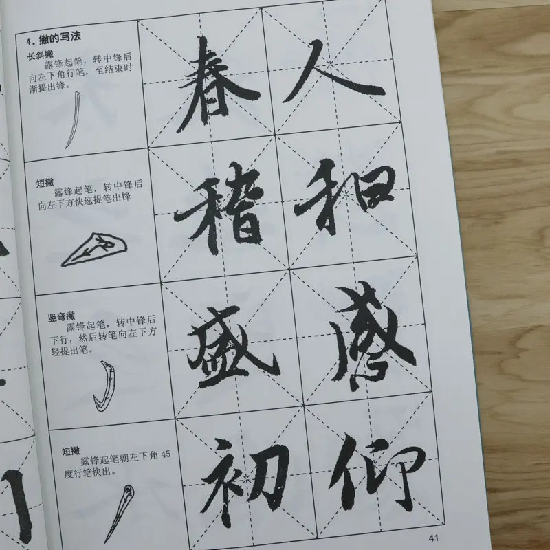 Chinese Calligraphy Dictionary Basic Characters Explanation Copybook Multiple Type Brush Pen Copybook Practice Book for Beginner