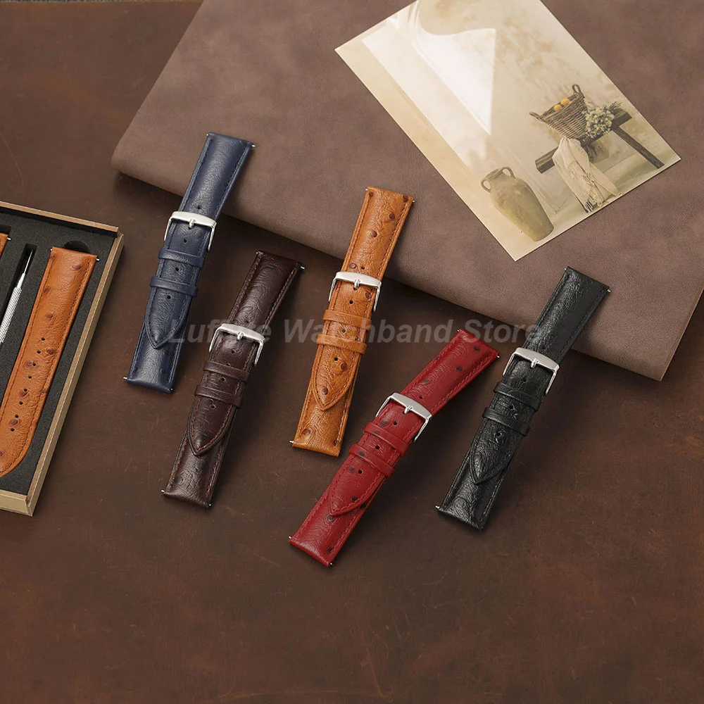 Fashion Men Women Ostrich Texture Watch Strap 18 20 22mm with Quick Release Spring Bar Gift Packing Box Calfskin Wristband