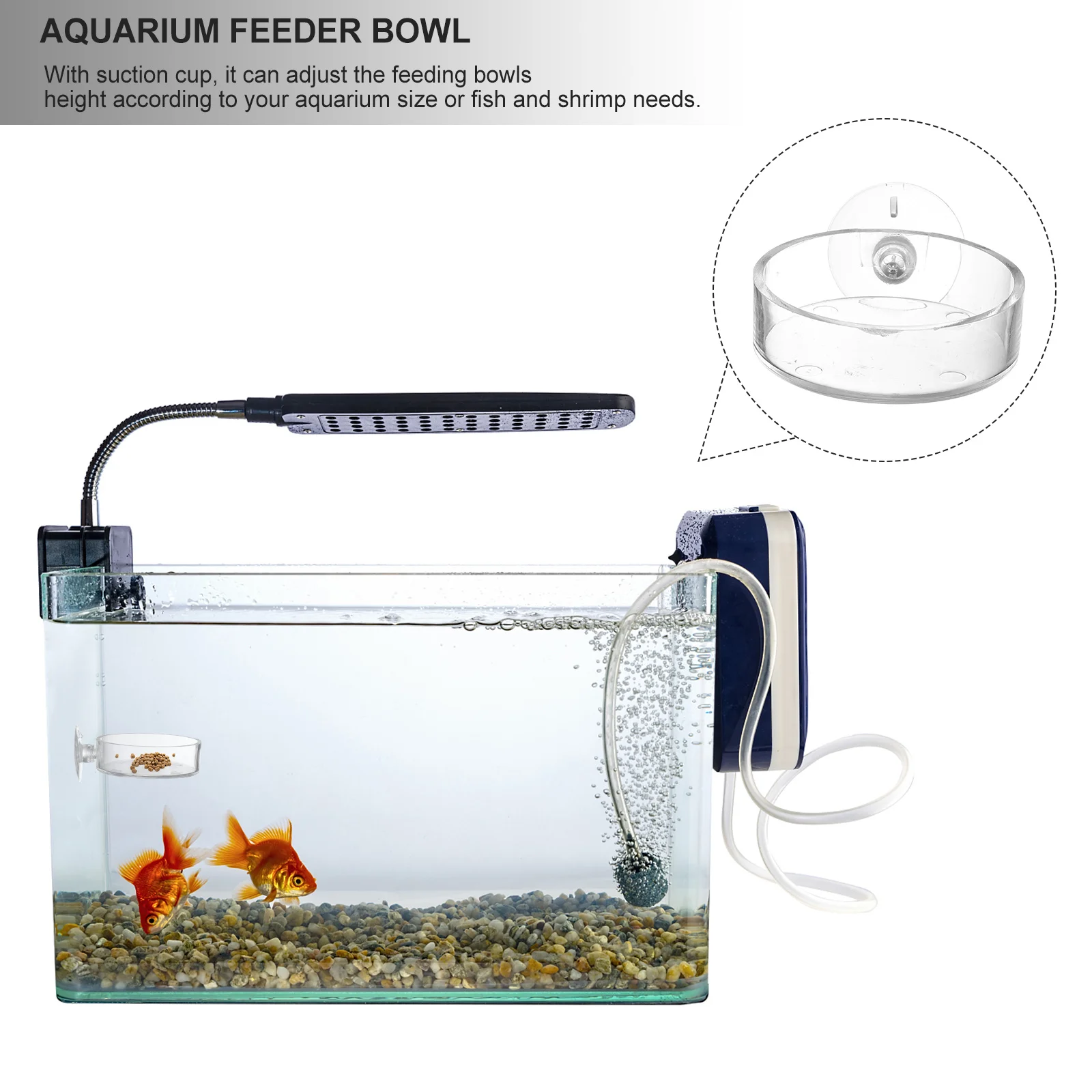 

4Pcs Fish Tank Feeder Bowl Acrylic Material Strong Suction Cup Easy to Clean Fish Tank Feeding Tray Aquarium Feeder Bowl