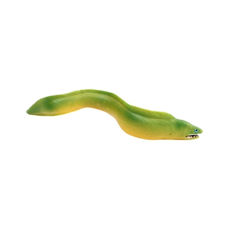 97BC Marine Life Educational Eel Model Figure Toy with Simulation Texture and Color