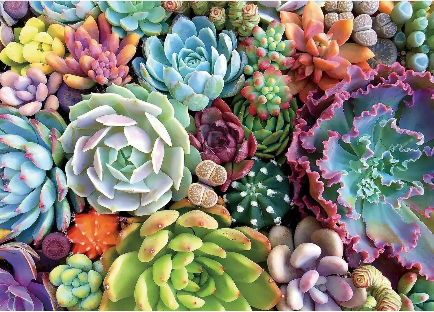 

1314/1000/520 шт. пазлы для суккулентов, пазлы для Gameroom, спальни, гостиной, сложная семейная игра для активного отдыха