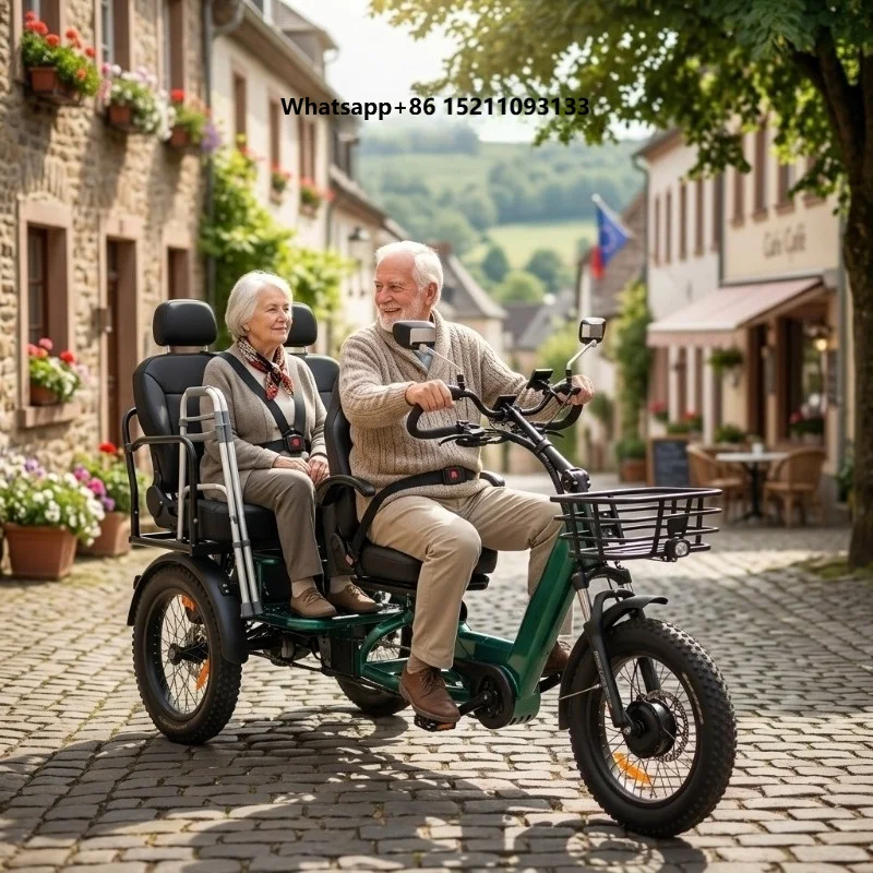Electric Tricycle for Adults 7-Speed Passenger Electric Trike 48V 60Ah Removable Battery Aluminium Frame 2-Passenger Fat-Tire CE
