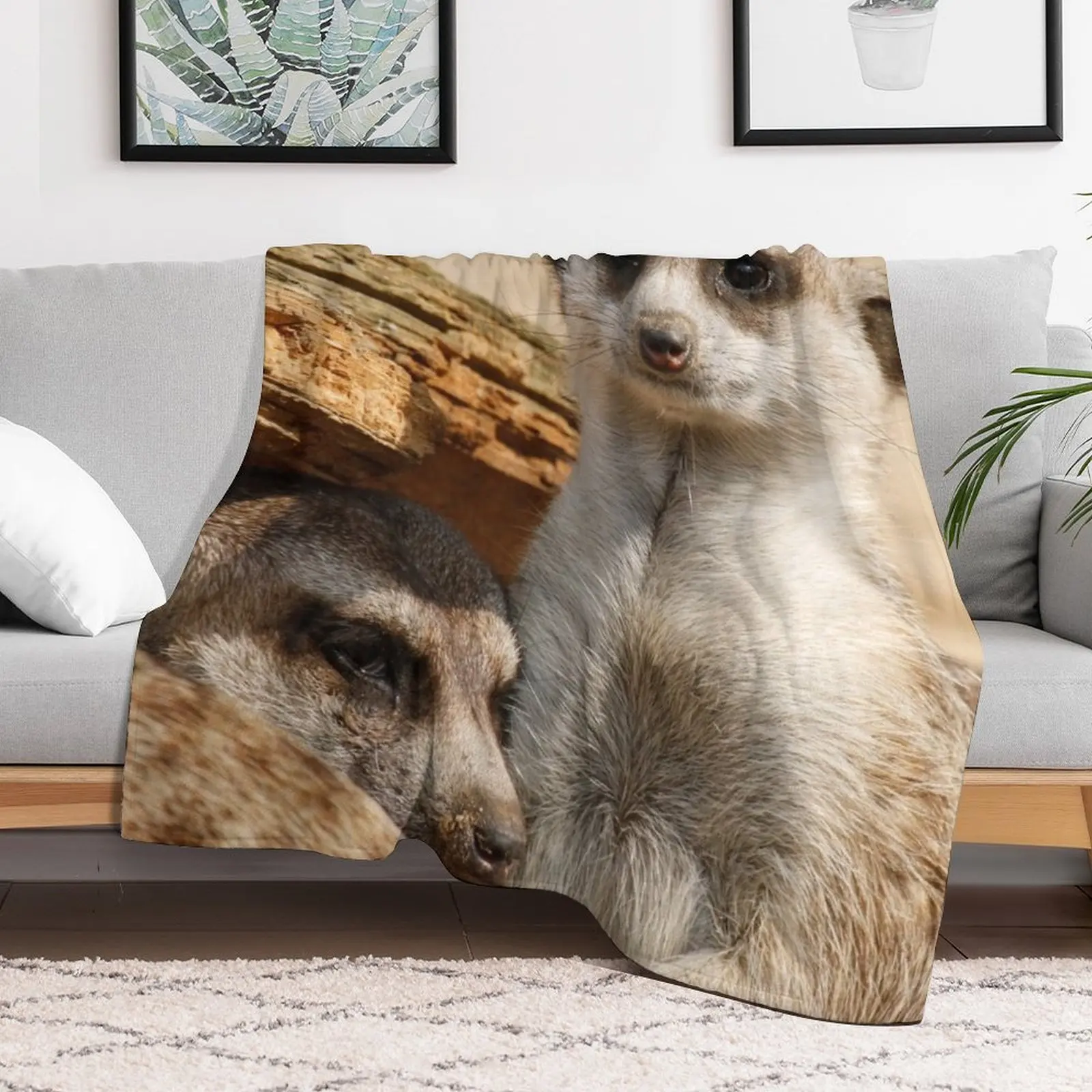 Meerkat 042 Throw Blanket Blankets Sofas Of Decoration decorative blankets and throws Soft Big Blankets