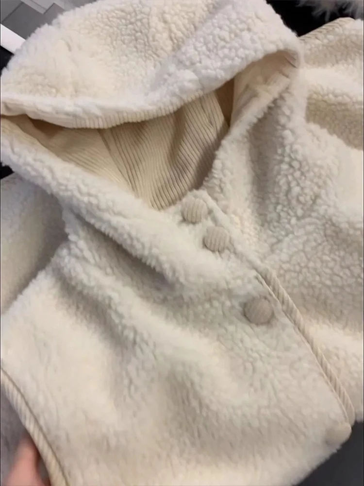 Large Size 300 Pounds Lamb Fur Vest Women's Autumn Winter Hooded Furry Vest Jacket Commute Style Zipper Closure Polyester
