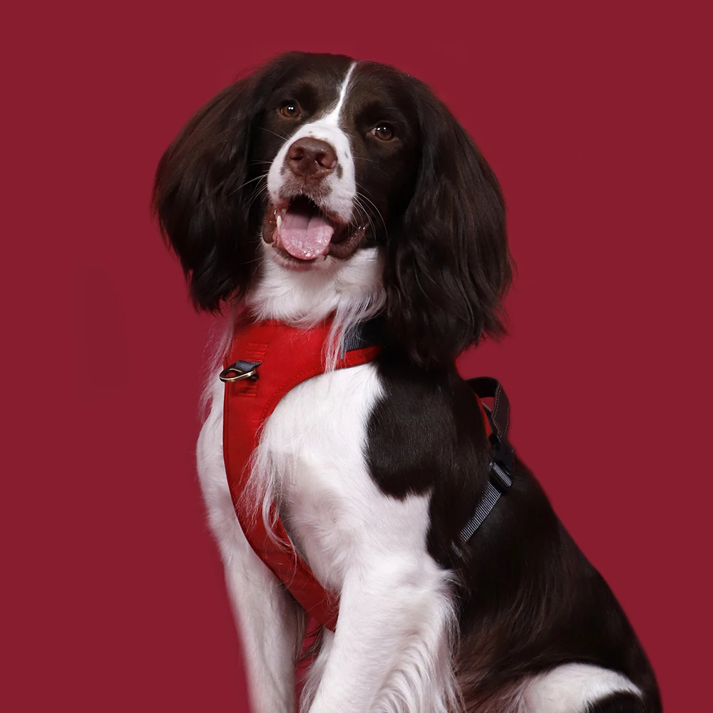 Vintage-Hundegeschirr, langlebiges PU-Leder, Hundegeschirre, atmungsaktive Haustierweste mit Kontrollgriff, Retro für kleine, mittelgroße und große Hunde – Detail 19