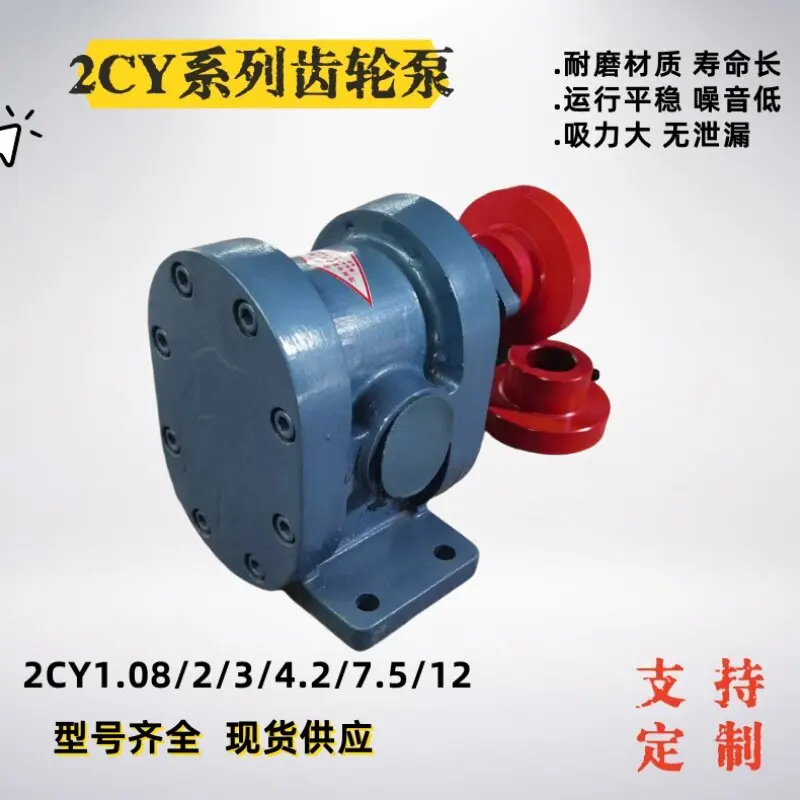2CY1.08 1.5 2.1 3 4.2 7.5 12/2.5 High Temperature Gear Pump Asphalt, Heavy Oil Pump