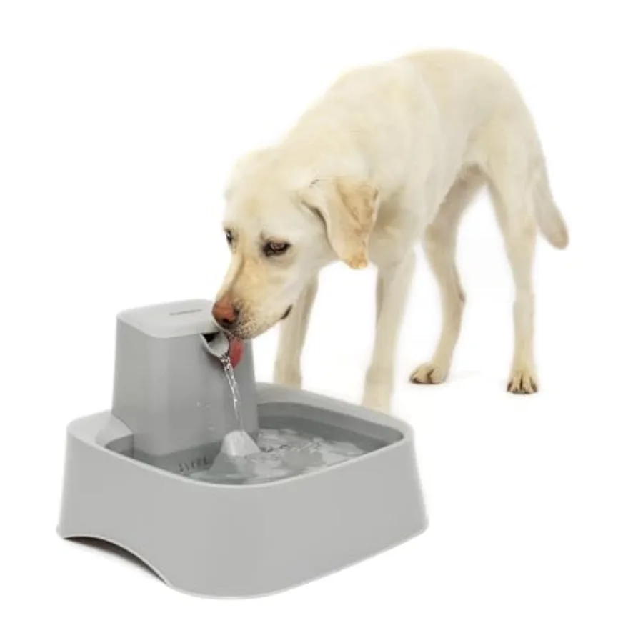 

Pet fountain for dogs/multiple pets, BPA-free plastic, white, 2-gallon capacity with quiet pump and replaceable filter, dishwas