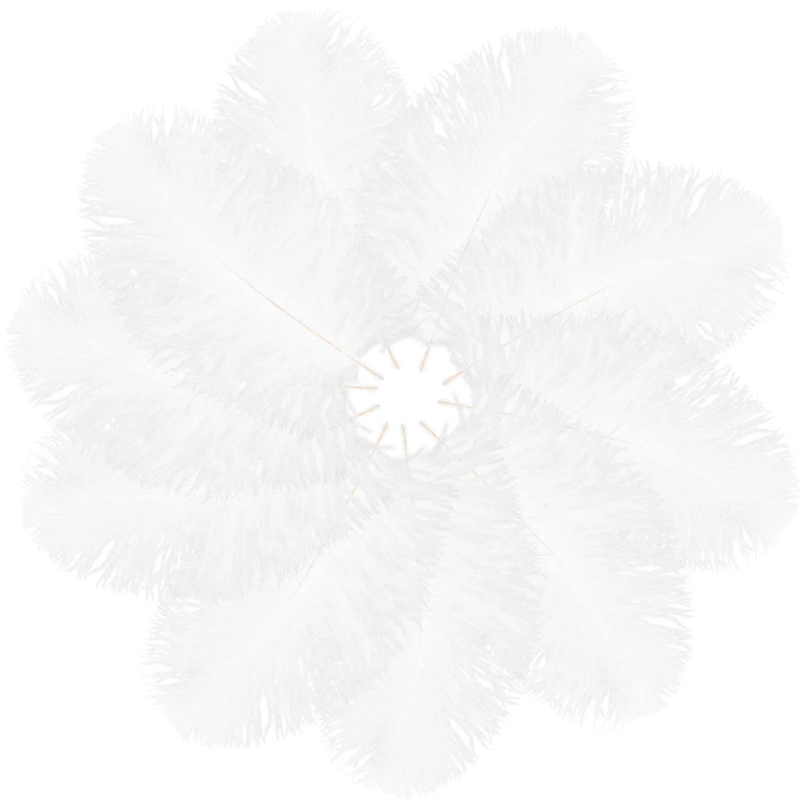 

10Pcs Delicate White Ostrich for DIY Hat Headdress Flower Arrangement Decor Wedding Plumes Plumes Ornaments