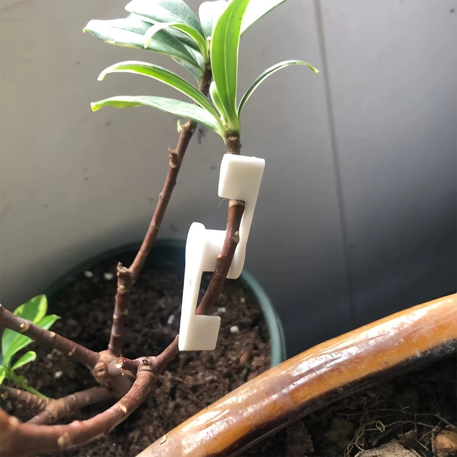 360° Adjustable Plant Training Clips Garden Plant Stem Branch Bending Clamp Gardening Growth Support Accessories
