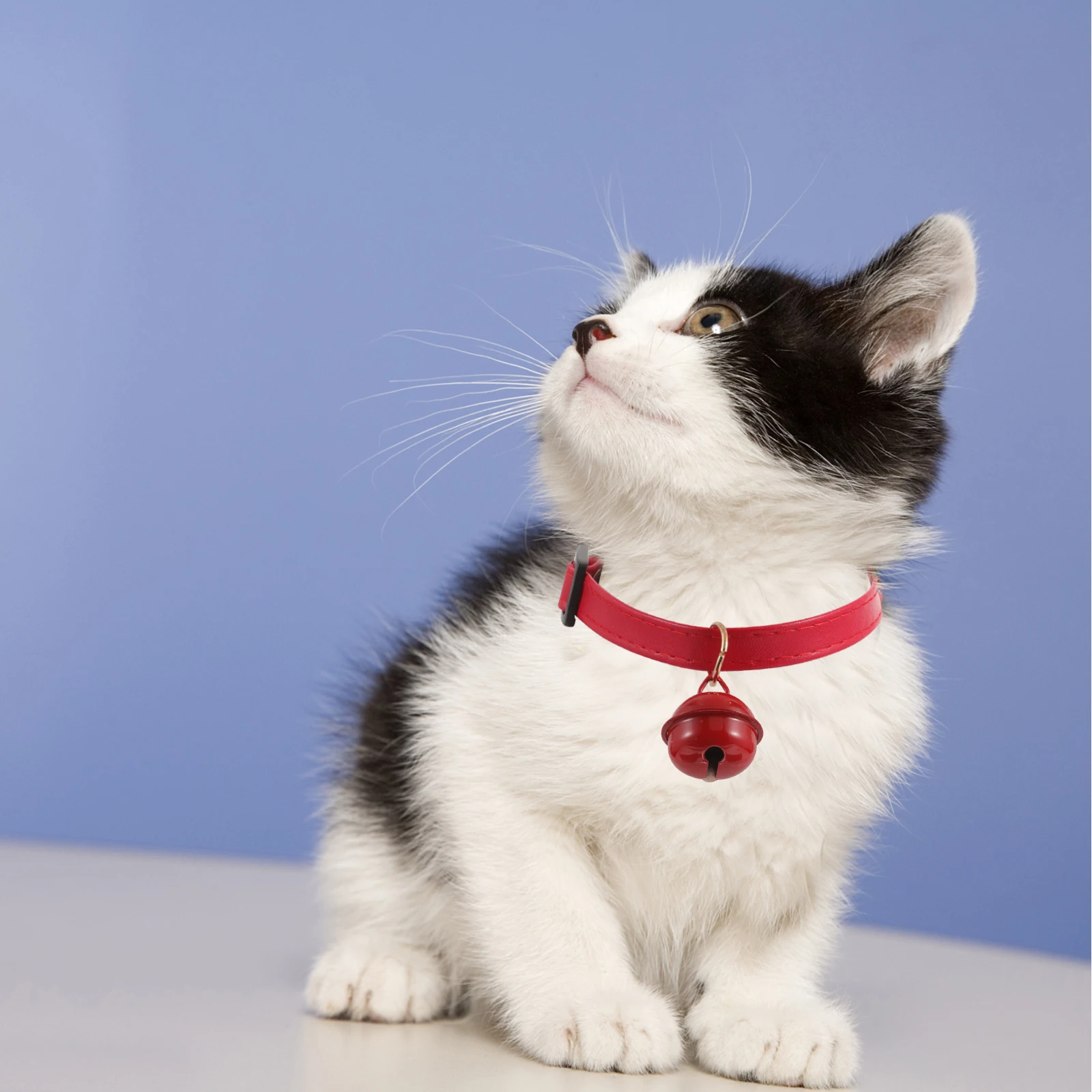 

Cat Adjustable Microfiber With Bell Pet Ppuppy Collar Supplies for Cats Long Time Pet Collar Use