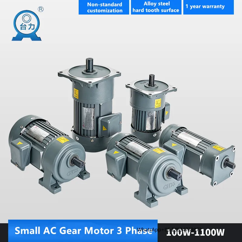 Taili Small AC Gear Motor 100w~7.5kw 1phase 110v 220v  3phase 220v 380v