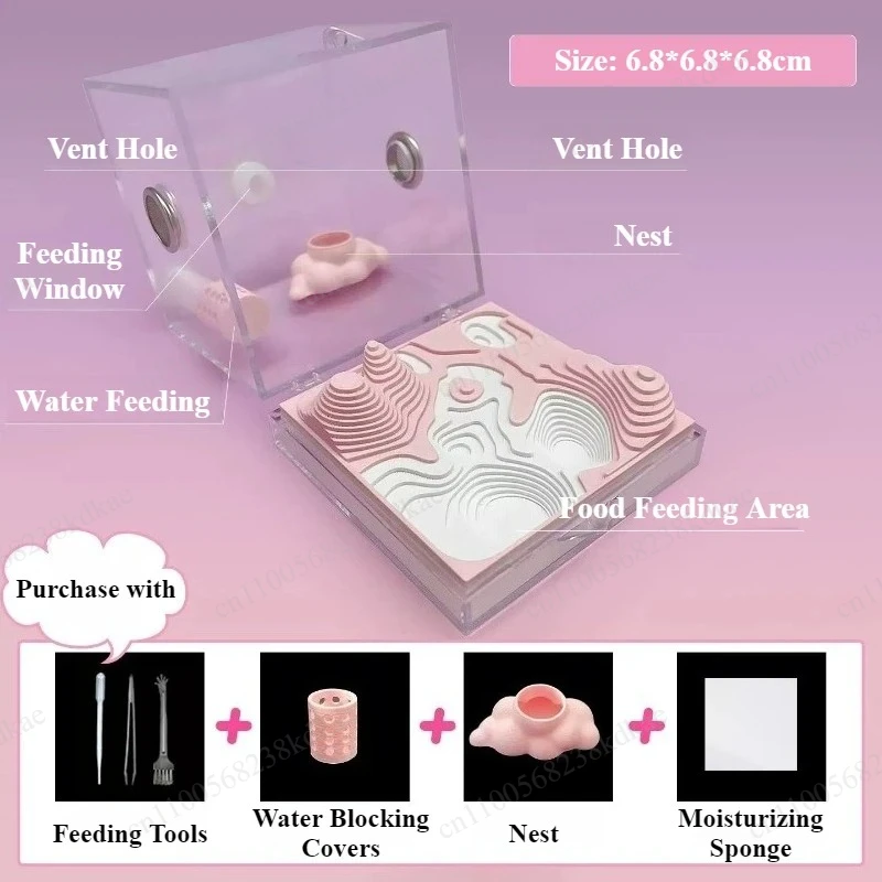 Pink Themed Acrylic Jumping Spider Terrarium Transparent Square Mini Reptile Enclosure Desktop Pet Habitat Decor Breeding Box